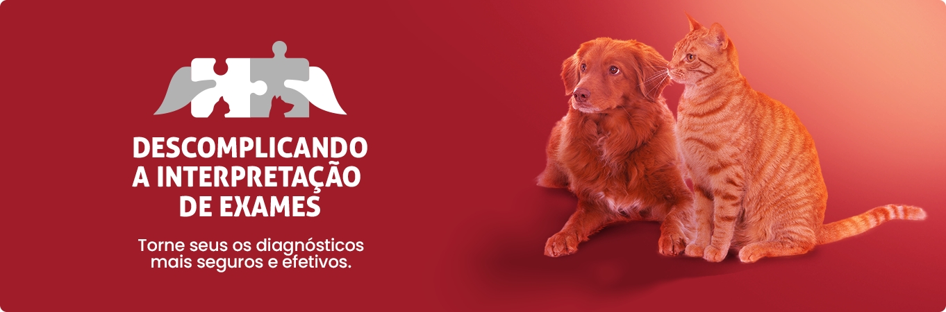 Slide Cursos
